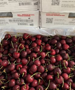 Cherry Đỏ Moon Stemilt Mỹ Size 9