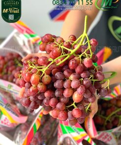 Nho Đỏ Kẹo Candy Store Grapes Mỹ