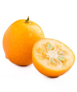 Tắc – Quất Kinkan Nhật Bản