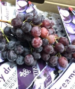 Nho Đen Kẹo Candy Dreams Mỹ