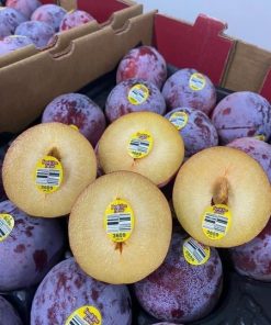 Mận Đỏ Ruột Vàng Family Tree Farms Mỹ