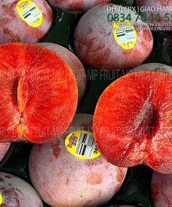 Mận đỏ Family Tree Farm Mỹ