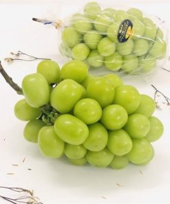 Nho mẫu đơn Shine Muscat Okayama Nhật Bản