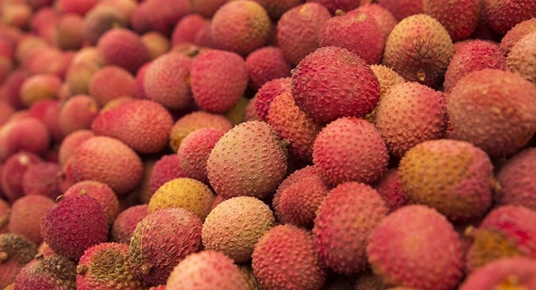 8 Công Dụng Tuyệt Vời Của Quả Vải Đối Với Sức Khỏe