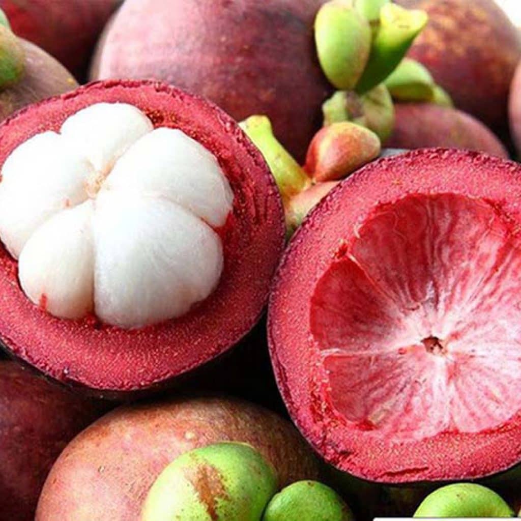 5 Loại Trái Cây Cúng Thổ Địa? Ý Nghĩa Mâm Thổ Địa | Dịch vụ chào hàng trọn gói