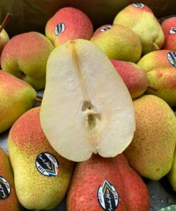 Lê Forelle Nam Phi