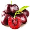 cherry đỏ new zealand