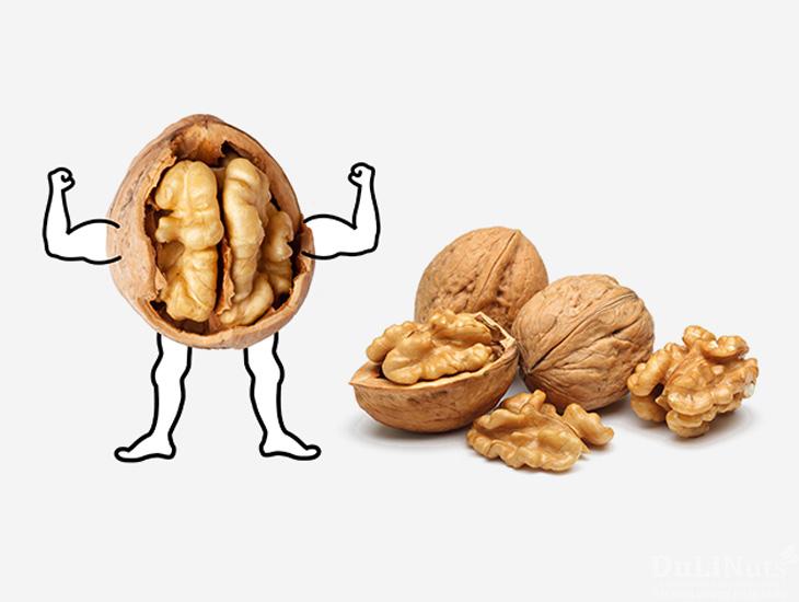 16 lợi ích sức khỏe tuyệt vời của quả óc chó