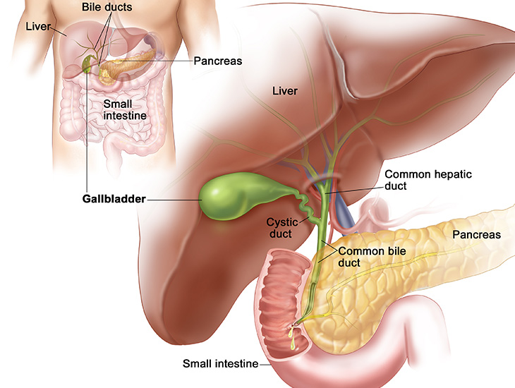 16 lợi ích sức khỏe tuyệt vời của quả óc chó