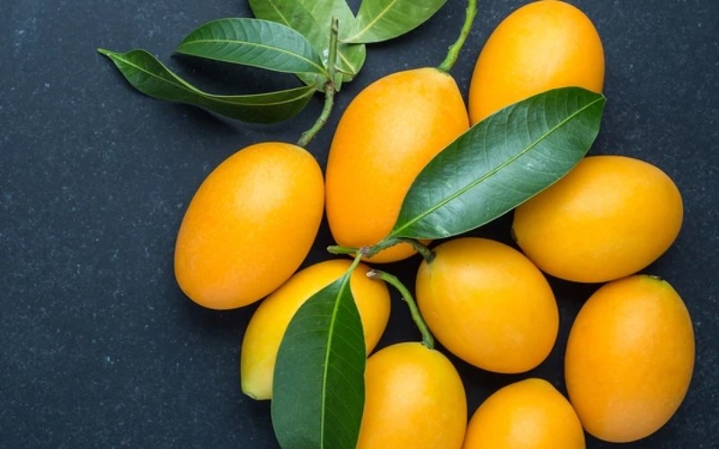 Hơn 10 lợi ích sức khỏe của trà xanh