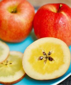 Táo mật mặt trời Yamagata Nhật Bản