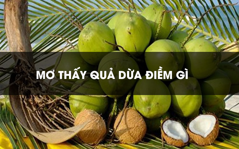 Giải mã] Nằm mơ thấy quả dừa đánh con gì may mắn nhất