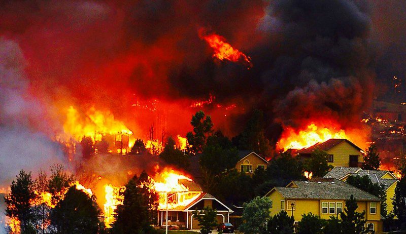 Nằm mơ thấy cháy rừng là điềm báo vũ trụ chỉ dành cho bạn - Thenyic