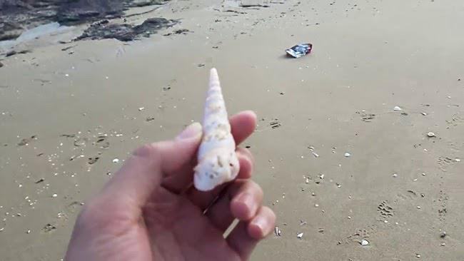 Điềm báo nằm mơ thấy ốc là gì? Đánh con gì dễ trúng lớn?