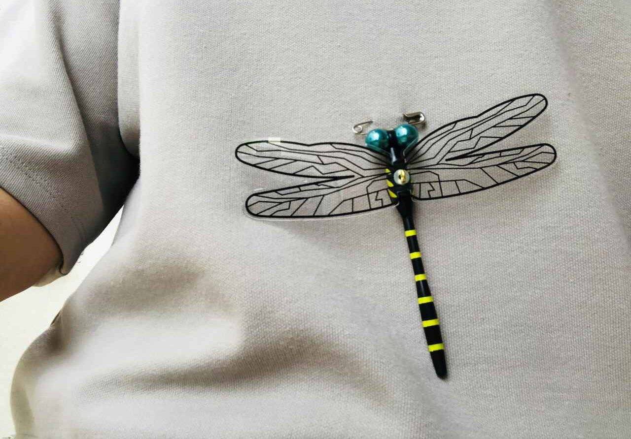 Chuồn chuồn bay vào nhà là điềm tốt hay xấu? Có nên xua đuổi?