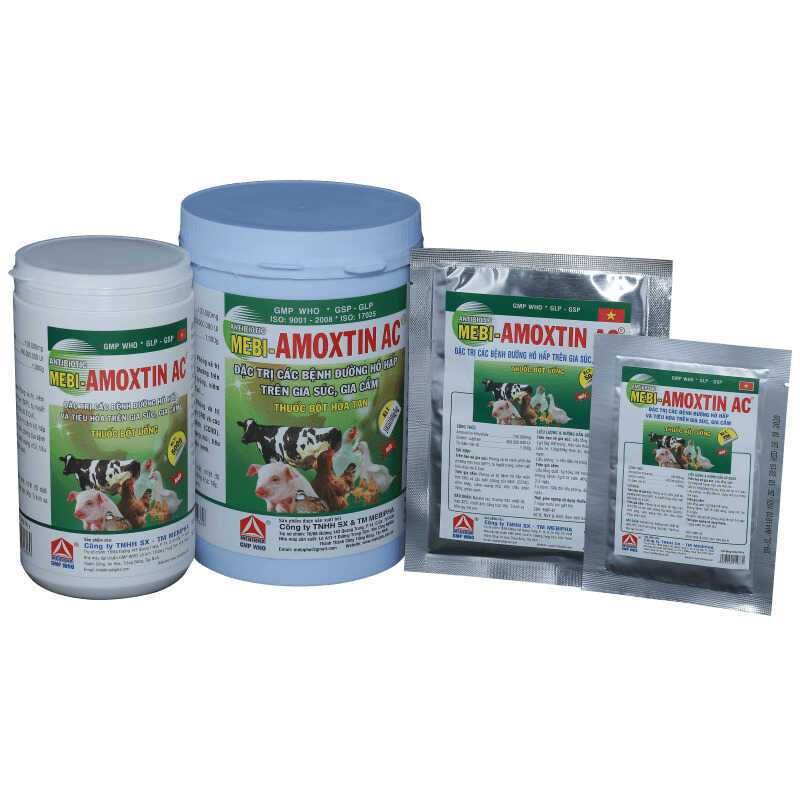 Bệnh tụ huyết trùng ở gà chọi: nguyên nhân và cách điều trị - Thế giới chọi gà