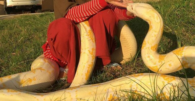 Nằm mơ thấy trăn có ý nghĩa gì? Tôi nên đặt cược vào con số nào?