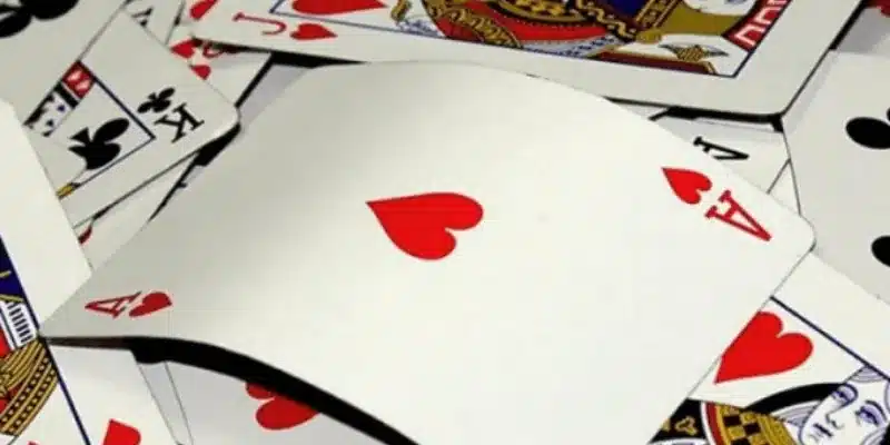 5 Đôi Thông Có Chặt Được 3 Heo Không? Những Thông Tin Cần Biết